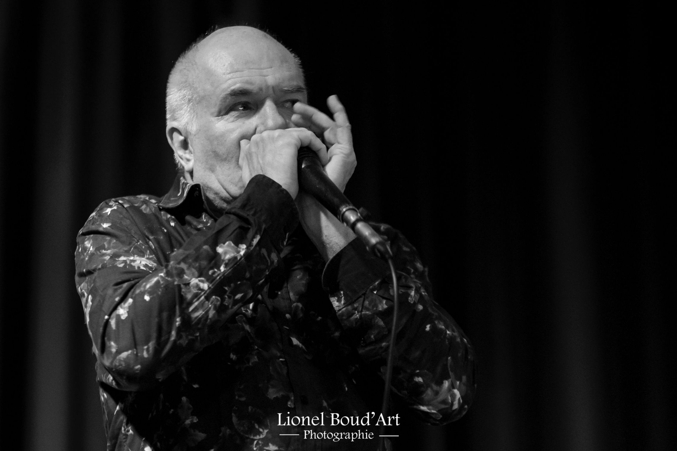 Denis François, ein talentierter Musiker und Mundharmonikaspieler der Pangies, der für sein ausdrucksstarkes Mundharmonikaspiel bekannt ist und den Auftritten des Duos einen Hauch von Blues und Folk verleiht.